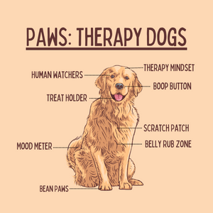 "PAWS: Therapy Dogs" colorful illustration of a golden retriever with fun body part labels: Therapy Mindset, Human Watchers, Boop Button, Treat Holder, Scratch Patch, Belly Rub Zone, Mood Meter (tail) Bean Paws